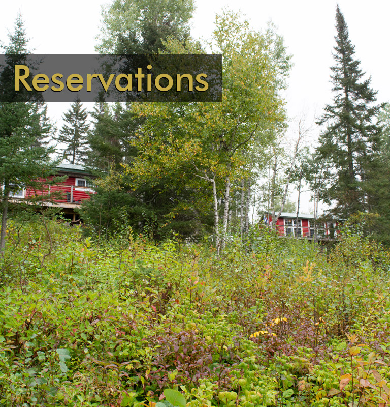 Reserve one of our cabins today.